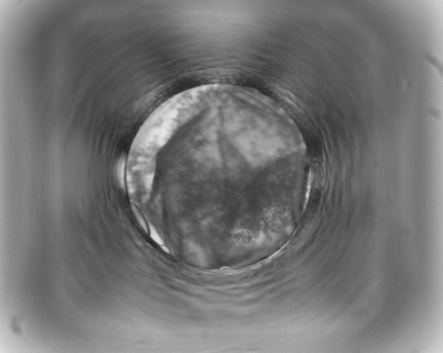 X0000098160047200805081113