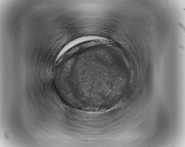 X0000098160048200805081113