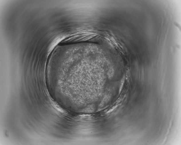 X0000098160052200805081112