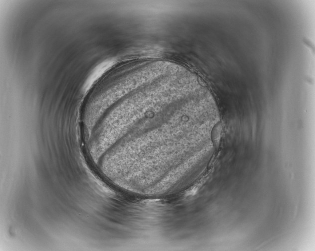 X0000098160054200805081112