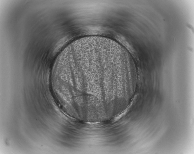 X0000098160058200805081113
