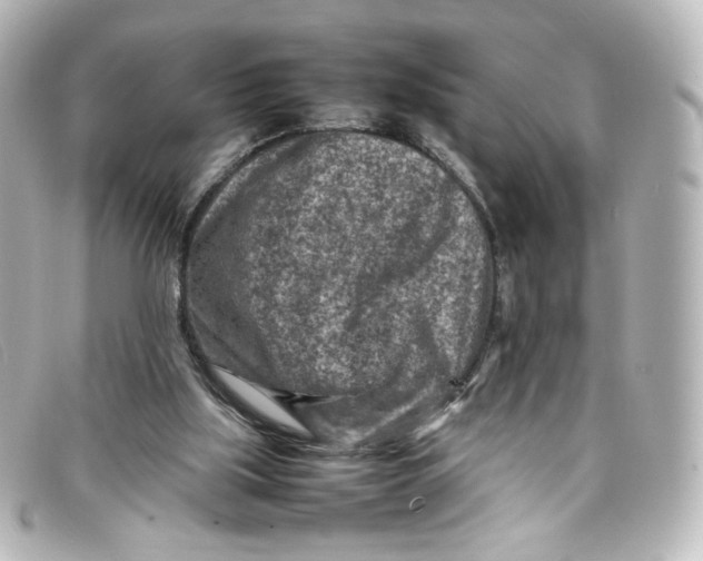 X0000098160059200805081113