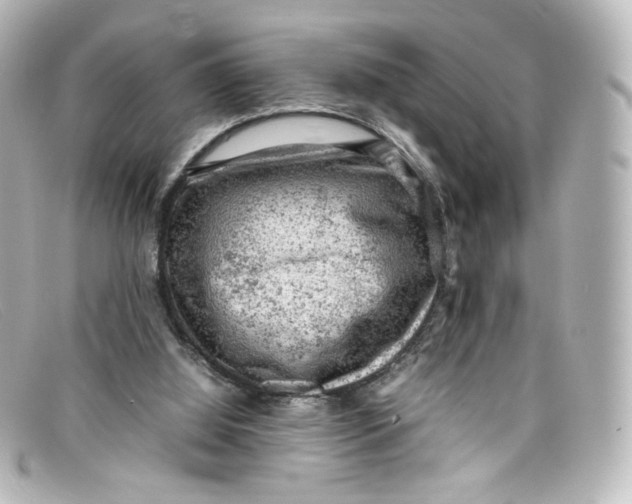 X0000098160060200805081113