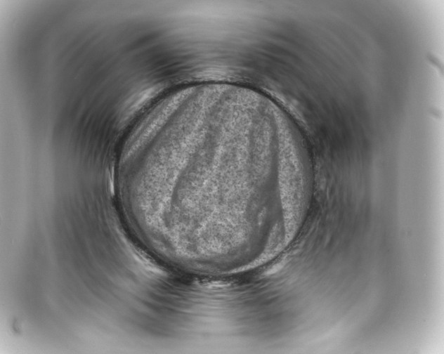 X0000098160062200805081113