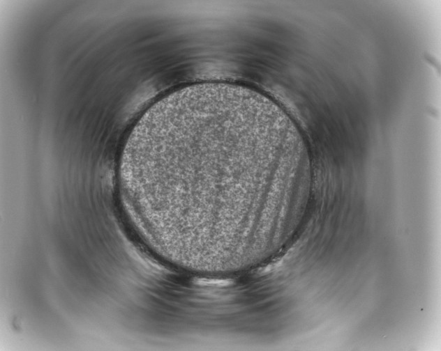 X0000098160063200805081113