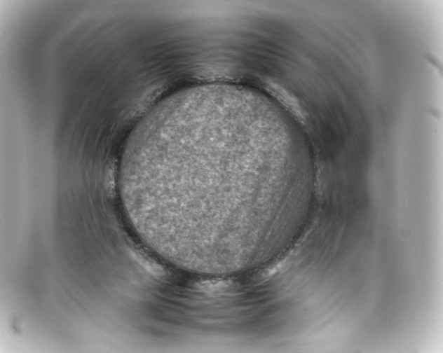 X0000098160065200805081113