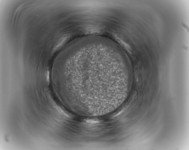 X0000098160067200805081113