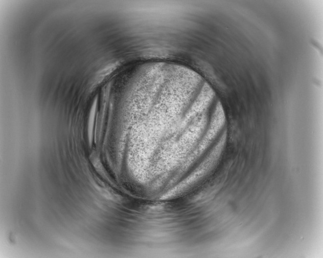 X0000098160068200805081113