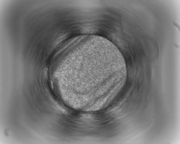 X0000098160071200805081113