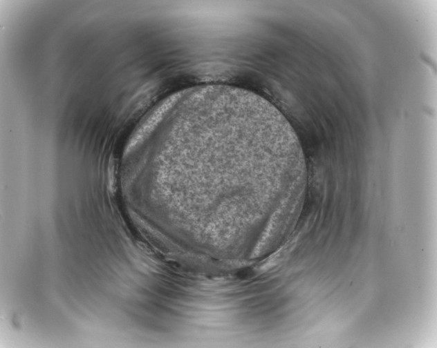 X0000098160074200805081113