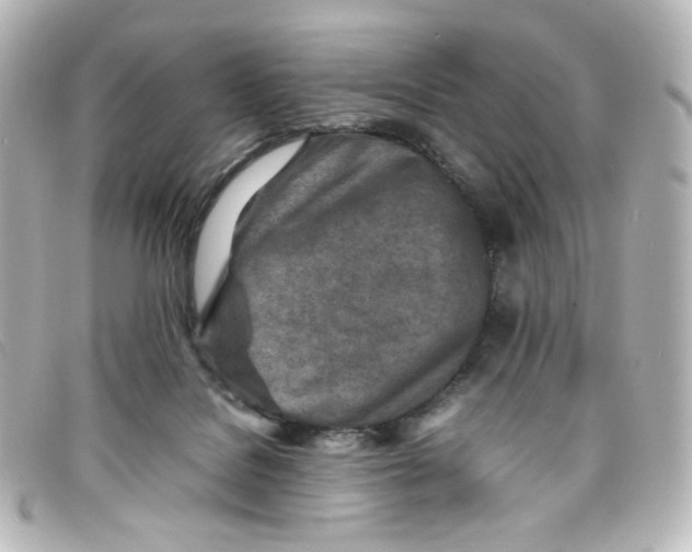X0000098160076200805081113