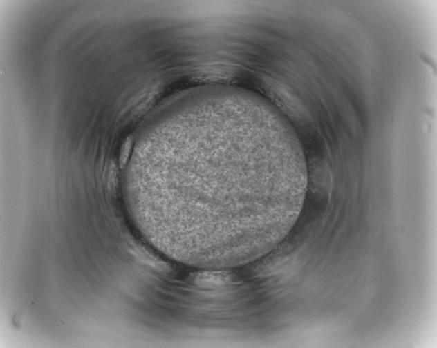 X0000098160077200805081113