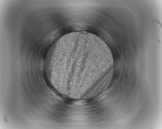 X0000098160078200805081113