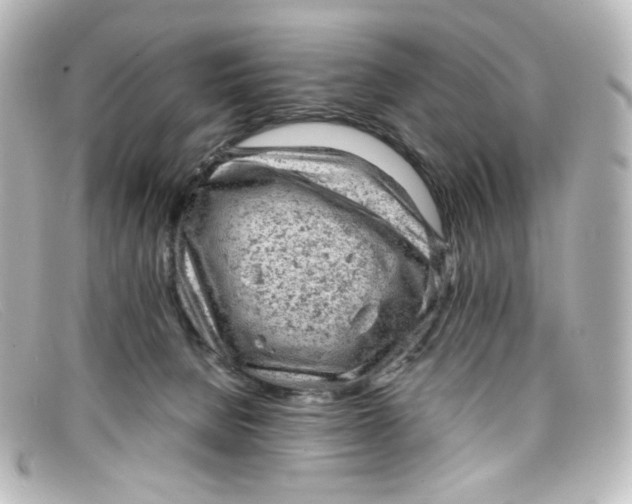X0000098160080200805081113