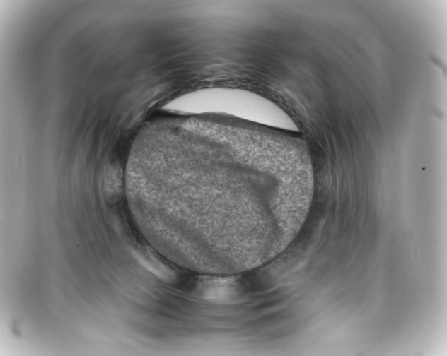 X0000098160081200805081113