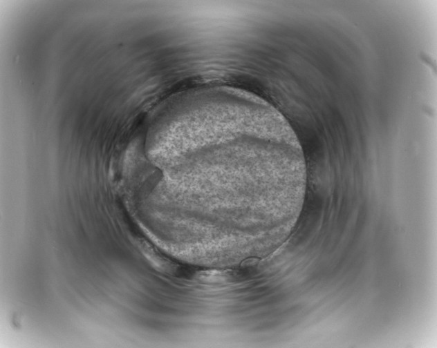 X0000098160082200805081113