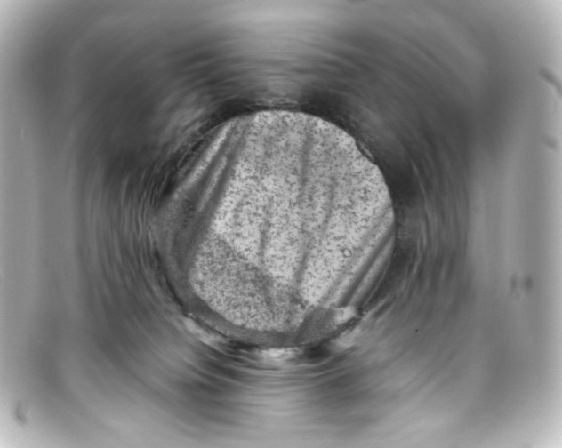 X0000098160084200805081113