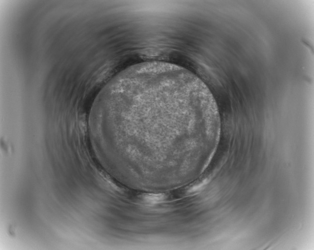 X0000098160085200805081113