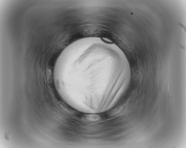 X0000098160087200805081113