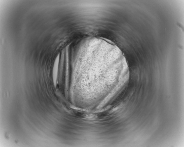 X0000098160088200805081113