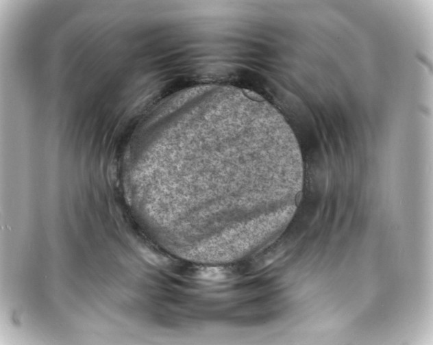 X0000098160091200805081113