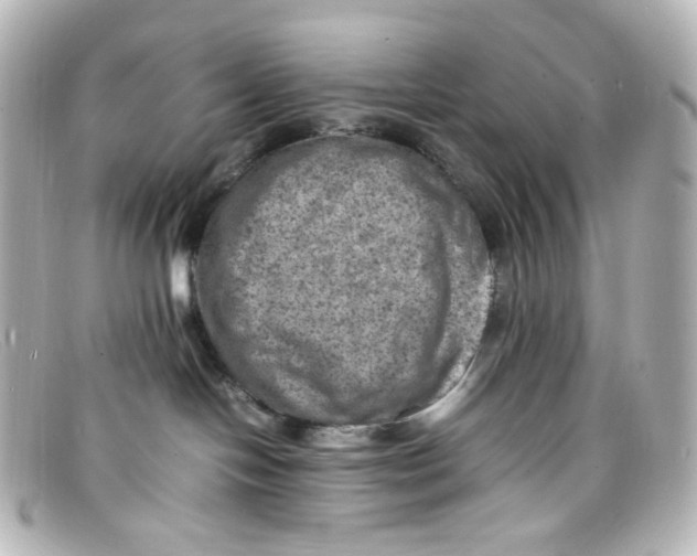 X0000098160094200805081113