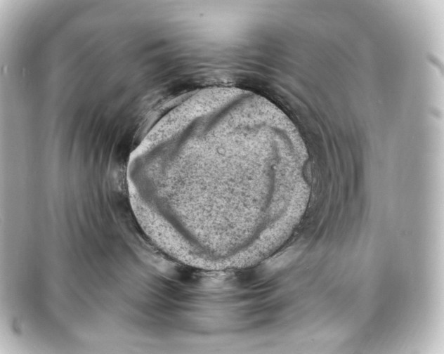 X0000098160096200805081113