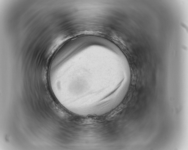 X0000098160098200805081112