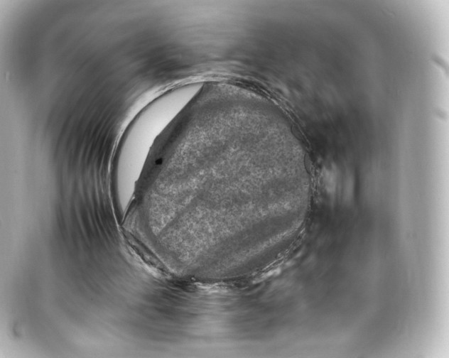X0000098160100200805081112