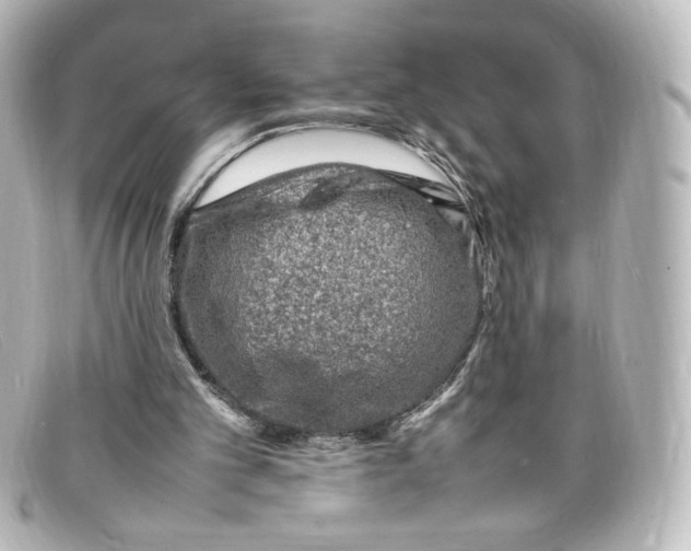 X0000098160101200805081112