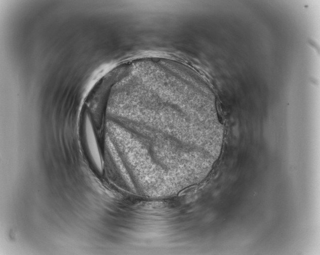 X0000098160104200805081112