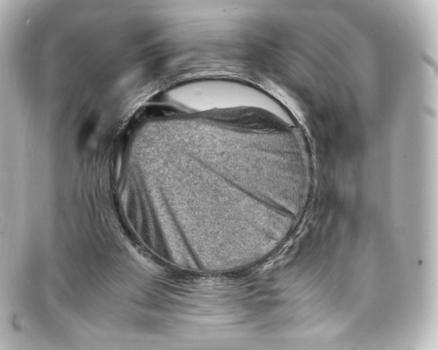 X0000098160105200805081112