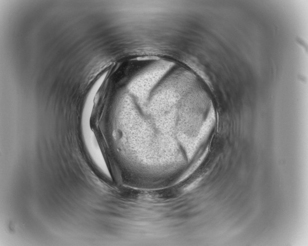 X0000098160109200805081112