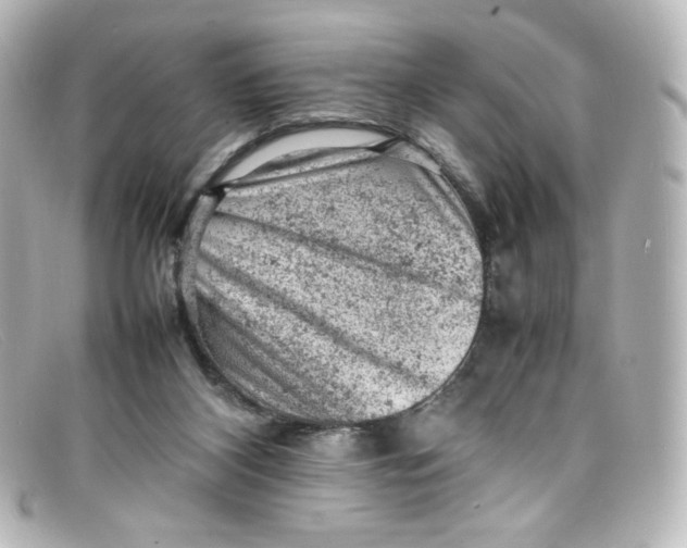 X0000098160116200805081112