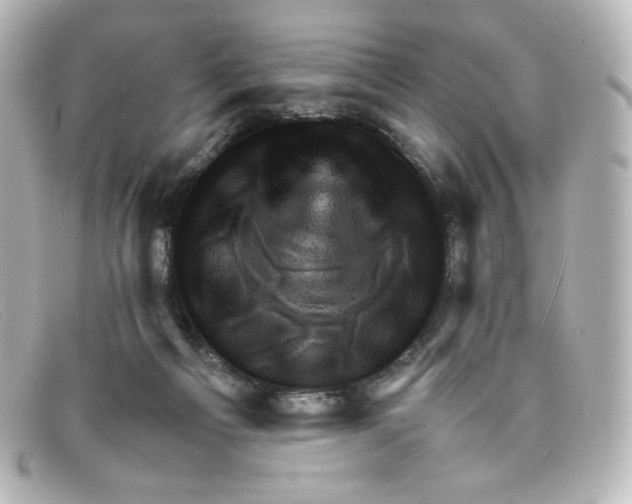 X0000098160121200805081112