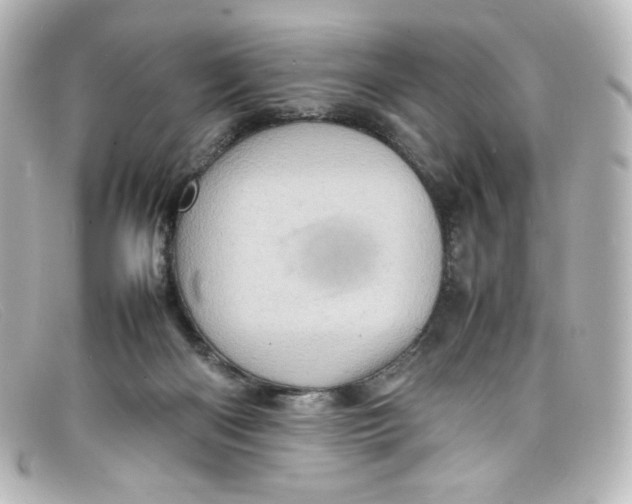 X0000098160122200805081112