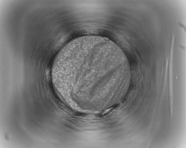 X0000098160123200805081112