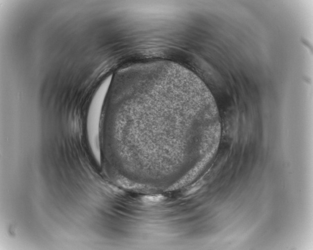 X0000098160124200805081112