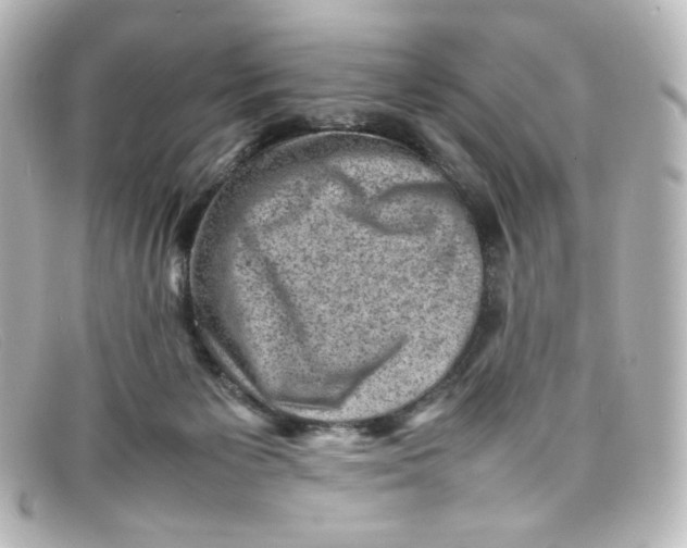 X0000098160125200805081112