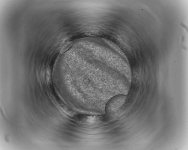 X0000098160130200805081112