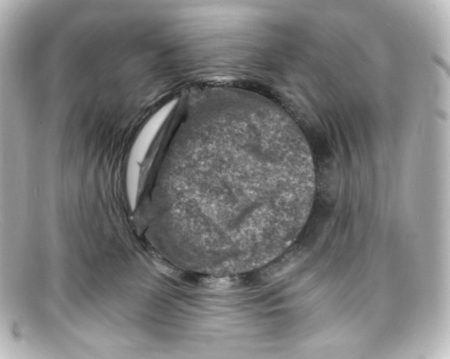 X0000098160131200805081112