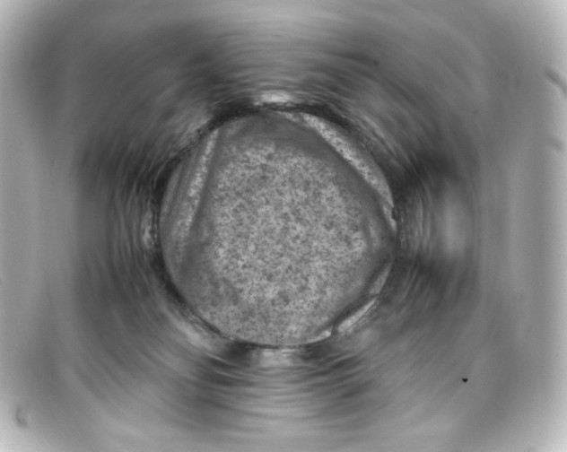 X0000098160134200805081112