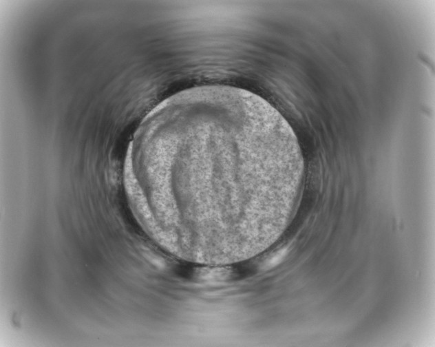 X0000098160135200805081112