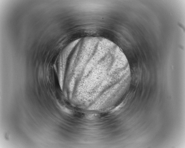 X0000098160136200805081112