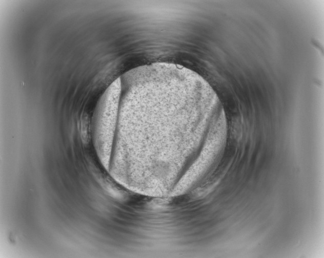 X0000098160138200805081112