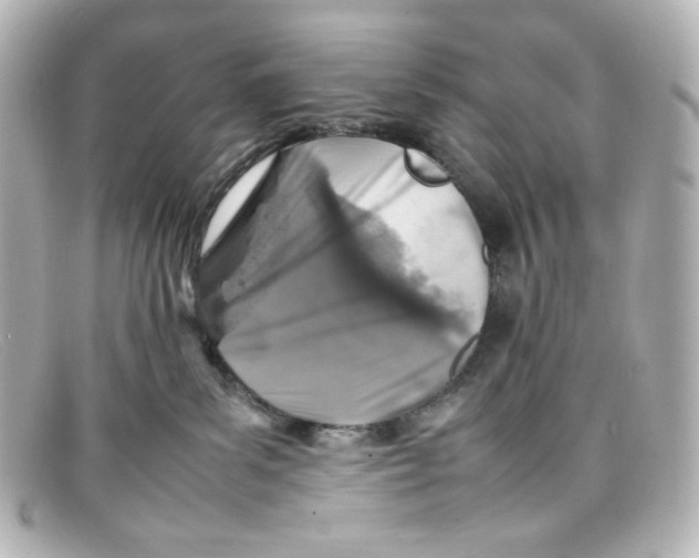 X0000098160139200805081112