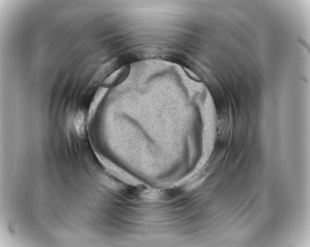 X0000098160142200805081112