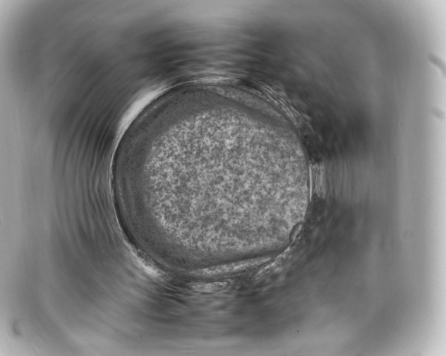 X0000098160147200805081111