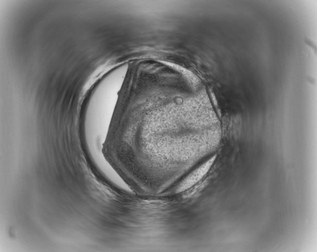 X0000098160150200805081111