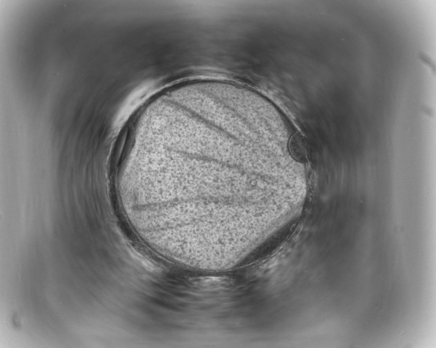 X0000098160151200805081111